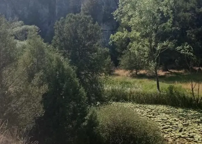 Entrada Rio Lobos Hontoria del Pinar