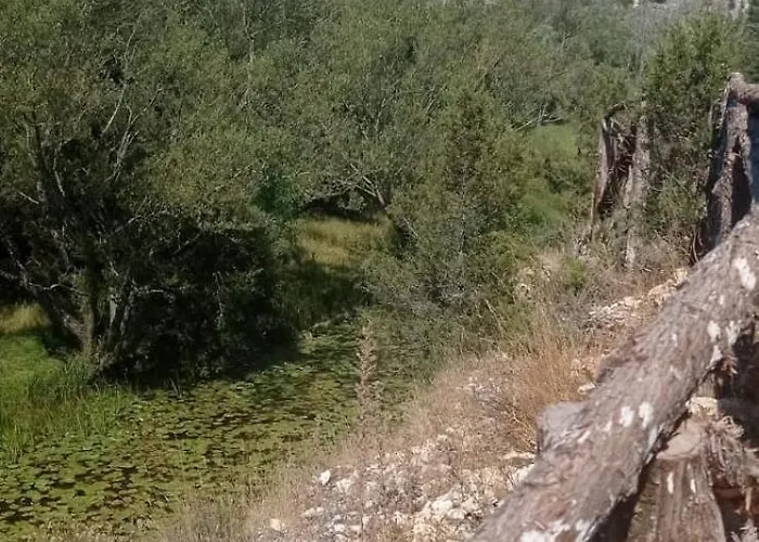 Entrada Rio Lobos アパート