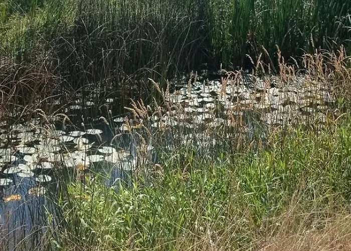 アパート Entrada Rio Lobos Hontoria del Pinar