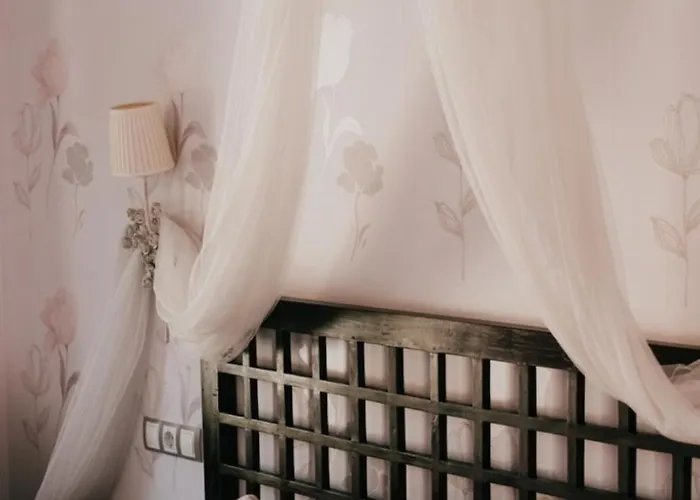 Entrada Rio Lobos Hontoria del Pinar